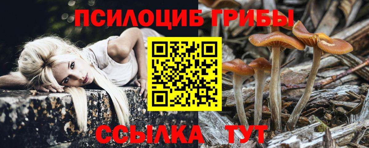 Камышлов  Галлюциногенные грибы GOLDEN TEACHER  Галлюциногенные грибы MAGIC MUSHROOMS  Вход с VPN 